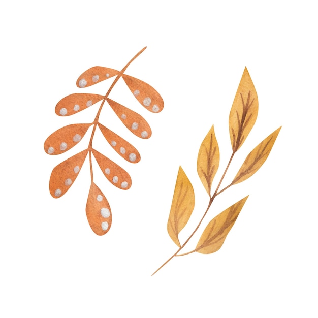 Vector yellow leaves watercolor element