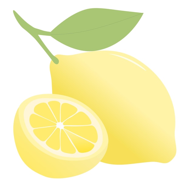 Yellow lemon illustration for vector
