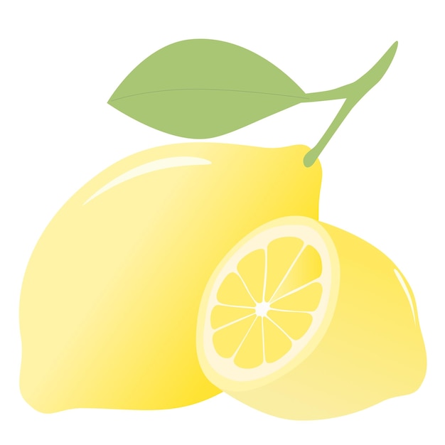 Yellow lemon illustration for vector