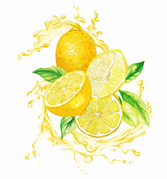 Vector yellow lemons and leaves in the splash of yellow juice