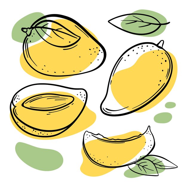 Желтый манго целые и кусочки вкусных тропических фруктов с листьями