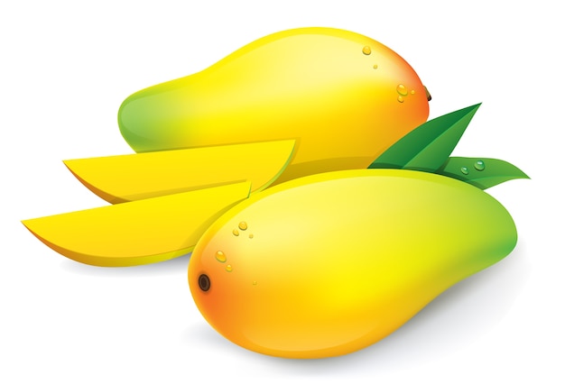 Вектор Желтый манго, изолированных на белом фоне
