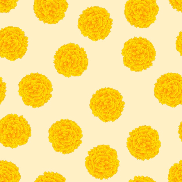 Vector yellow marigold on ivory beige background