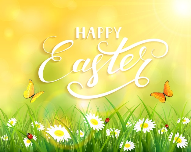 Yellow nature Easter background with a butterfly flying above the grass and flowers, lettering Happy Easter and sun beams, illustration.