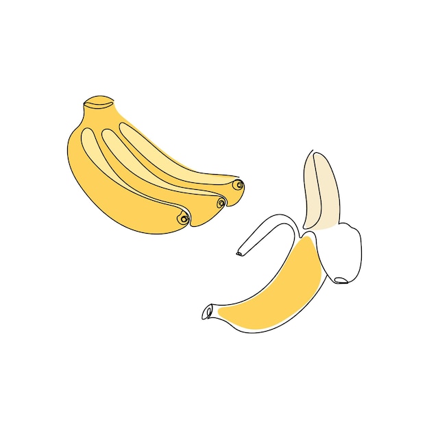 Yellow one banana,a bunch of bananas.Hand drawn tropical fruit. One line drawing vector illustration