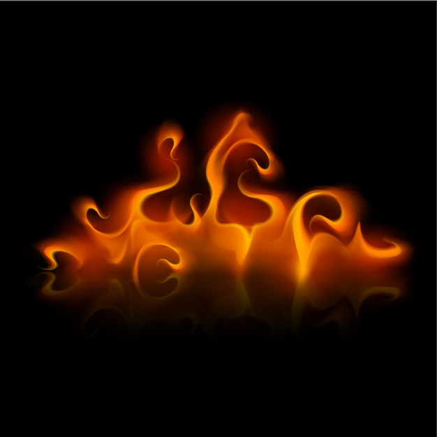 Vector yellow orange fire flame bonfire on background