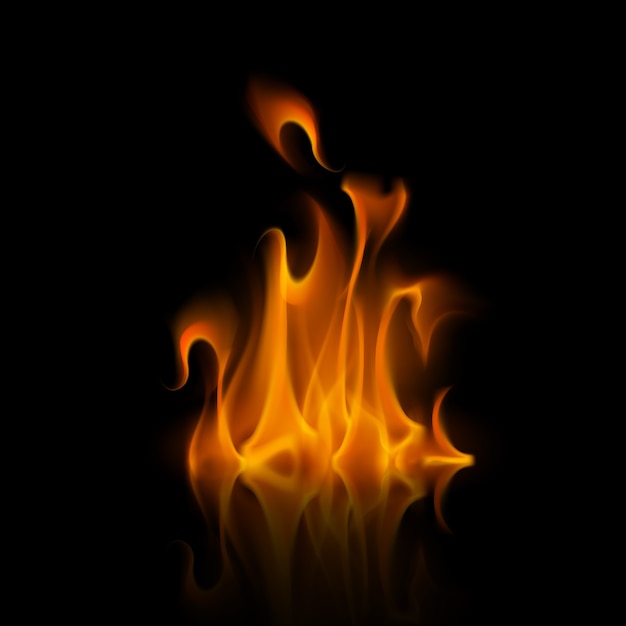 Vector yellow orange fire flame bonfire   on background