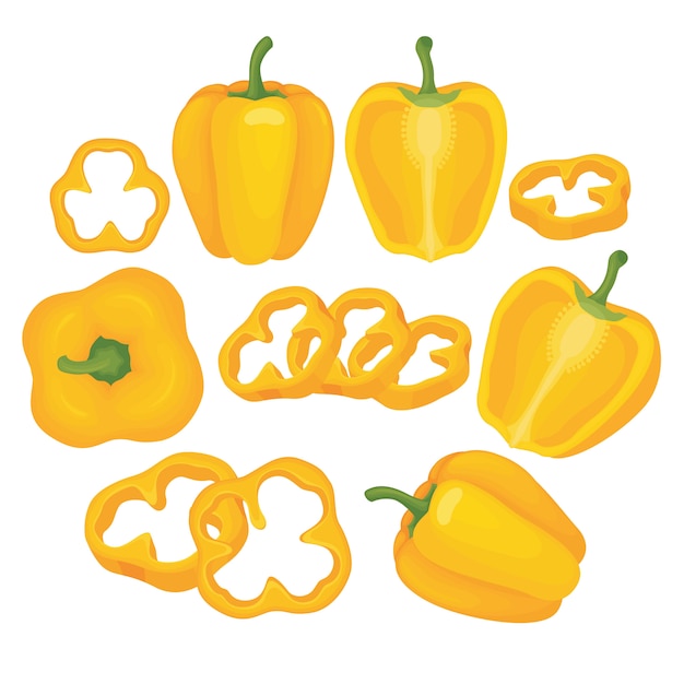 Vector yellow paprika vector set illustration