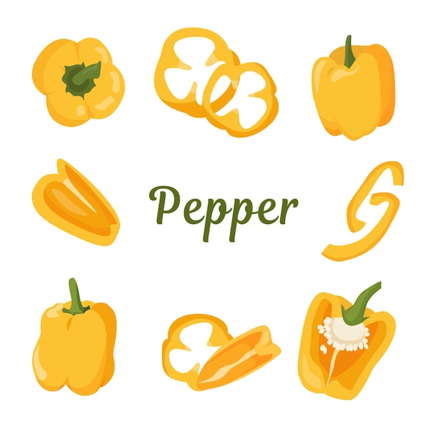 Yellow pepper Set yellow pepper whole cut rings and slices Vector illustration on a white background