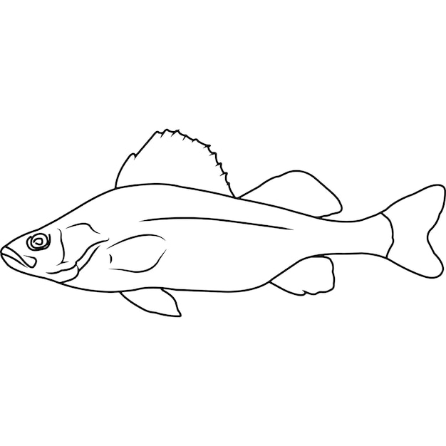 Yellow perch hand sketched hand drawn vector clipart