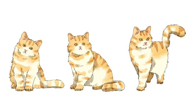 Вектор Желтая персидская кошка