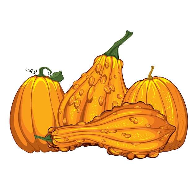 Vector yellow pumpkins