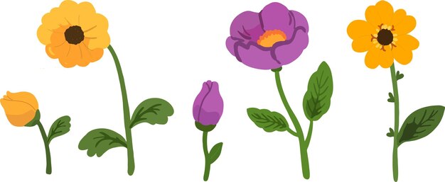 Vector yellow and purple flowers