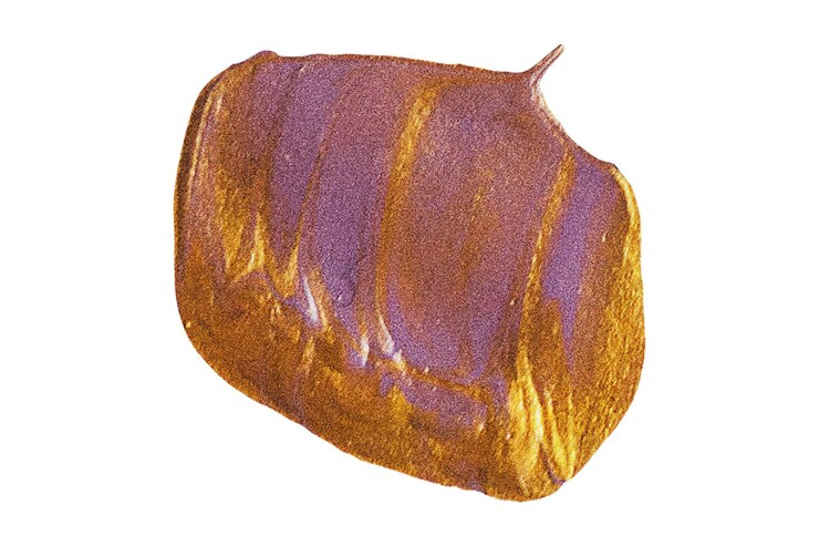 Vector a yellow and purple shell with purple on it