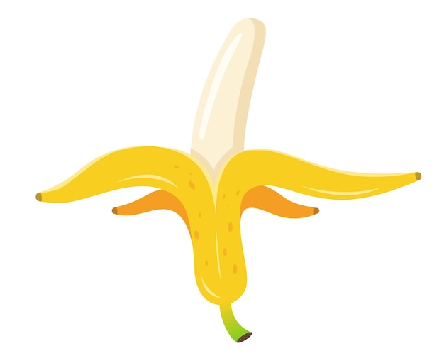 Yellow ripe banana peeled flat vector illustration