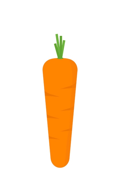 Yellow ripe fresh carrot on white background vector illustration