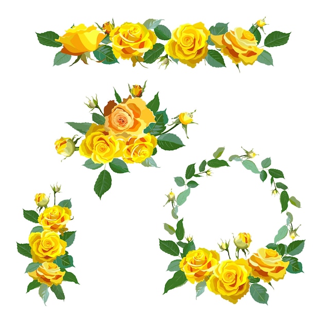 Yellow rose flower illustrations