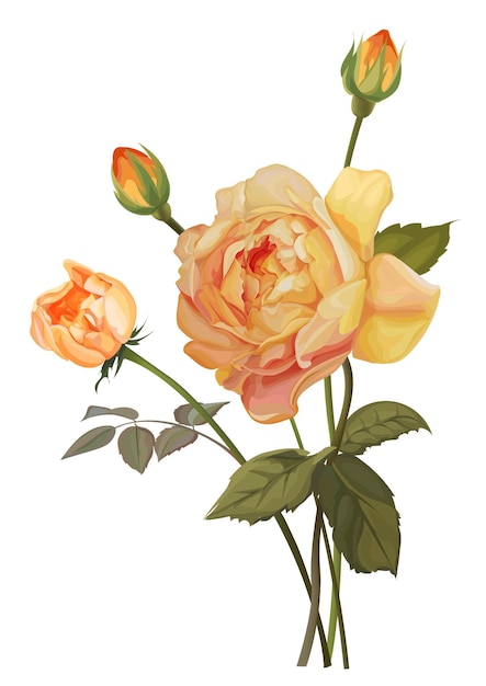 Vector yellow rose isolated vector illustration