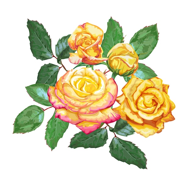 Vector yellow roses vector illustration