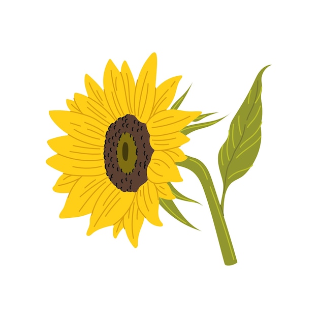 Yellow sunflower with seeds agriculture icon