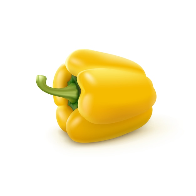 Vector yellow sweet bulgarian bell pepper, paprika