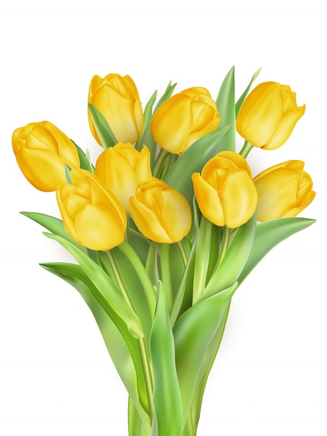 Yellow tulip flower bouquet