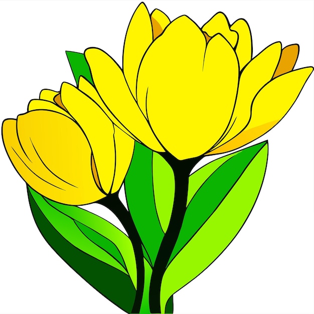 Vector yellow tulips flower with green leaves