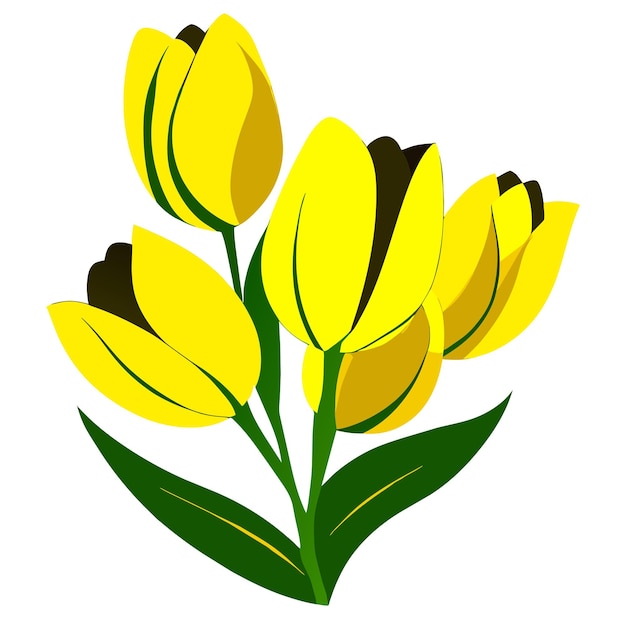 Vector yellow tulips flower with green leaves