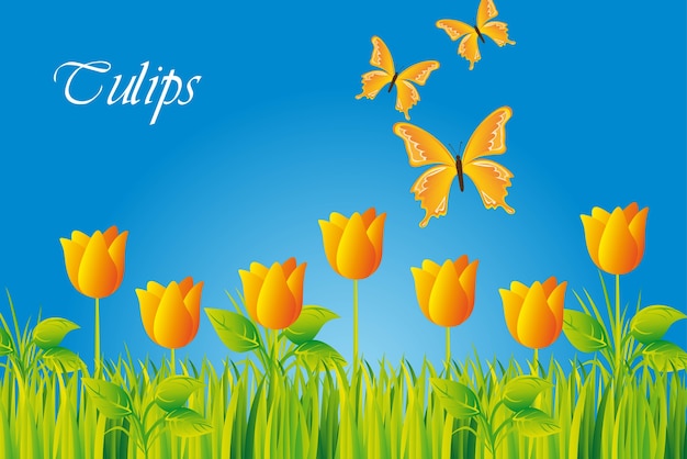 Вектор Желтые тюльпаны с бабочкой над небом