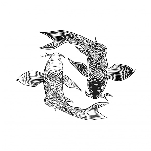 Vector yin yang koi fish