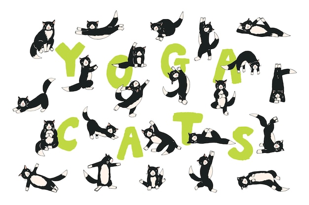 Yoga katten vormen vector illustraties set