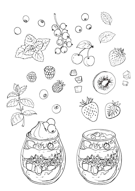 Vector yogurt in a jar. sketch of meal line on white background. mint, kiwi, cranberries, berries, fruits