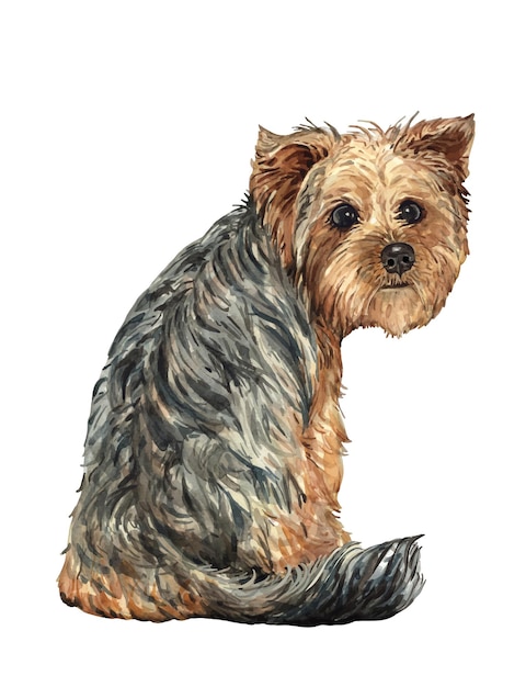 Vettore yorkie girati cane yorkie siediti e girati