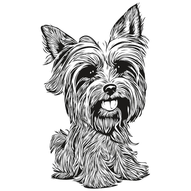 Vector yorkshire terrier dog hand drawn vector line art drawing black and white logo pets illustration