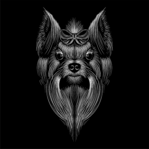 Vector yorkshire terrier head