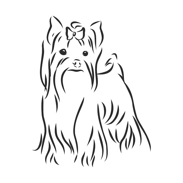 Yorkshire terrier hond - hand getrokken vector llustration isolated