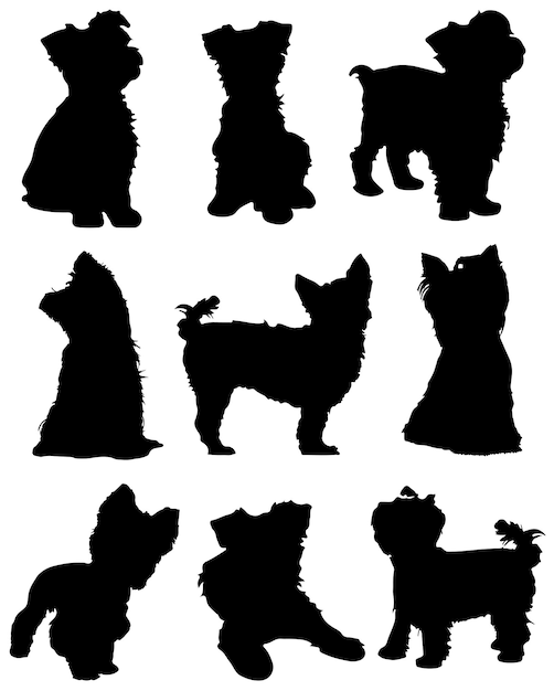 Yorkshire terrier hond silhouet pakket