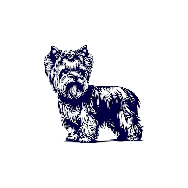 Vector yorkshire terrier hond vector illustratie