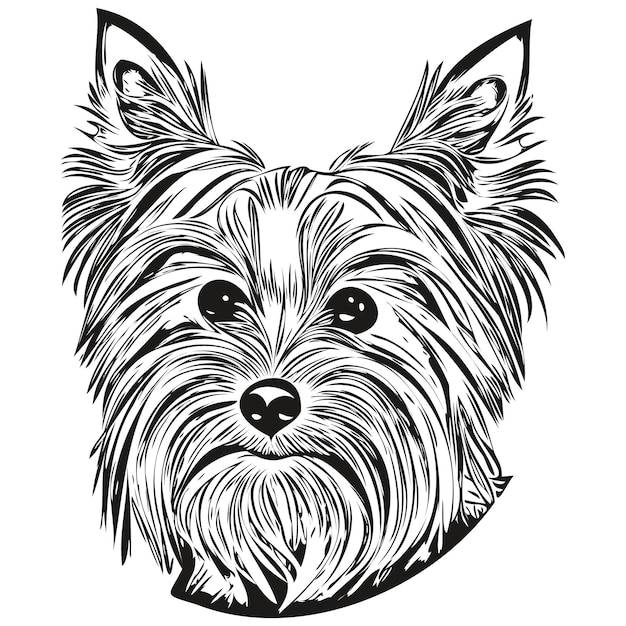 Vector yorkshire terriër hond zwart-wit vector logo lijn kunst hand getekend vector huisdieren illustratie