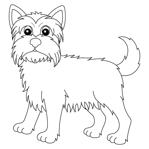 Yorkshire Terrier Isolated Coloring Page for Kids