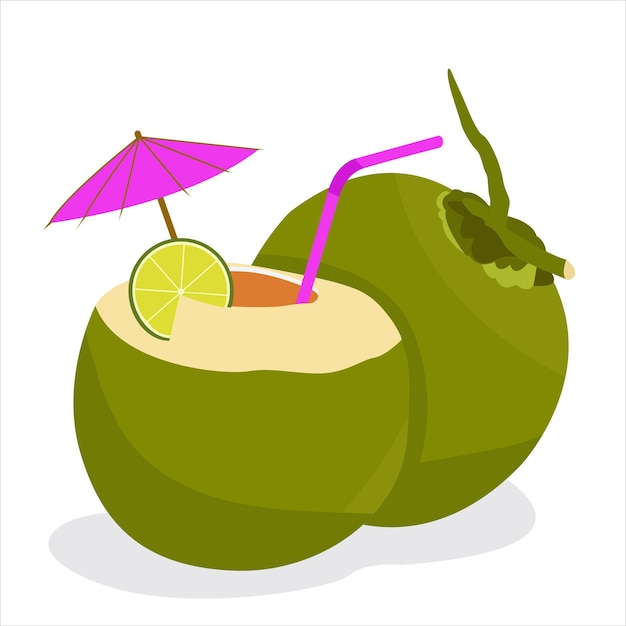 young coconut vector illustration design