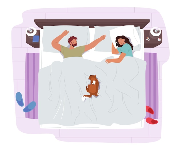 Vector young couple sleeping on bed with funny cat. male and female characters night relax. man and woman wearing pajama sleep with pet lying in comfortable pose top view. cartoon people vector illustration