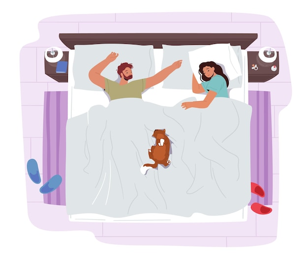Молодая пара, спать на кровати с забавным котом. ночной отдых мужских и женских персонажей. мужчина и женщина в пижаме спят с домашним животным, лежащим в удобной позе, вид сверху. мультфильм люди векторные иллюстрации