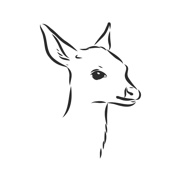 Молодой олень Векторный силуэт. олененок, векторные иллюстрации эскиз