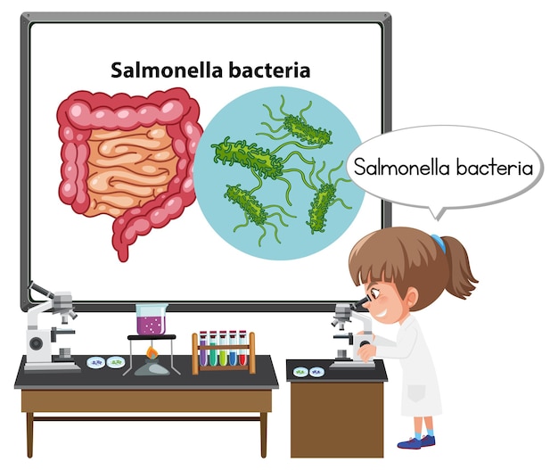 Young doctor explaining salmonella bacteria