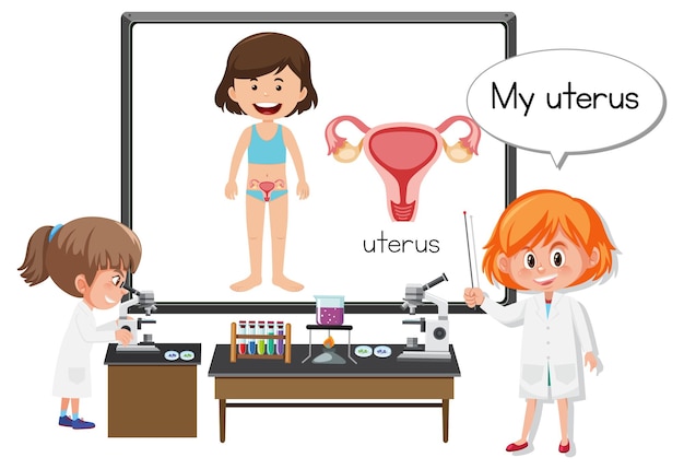 자궁 해부학을 설명하는 젊은 의사