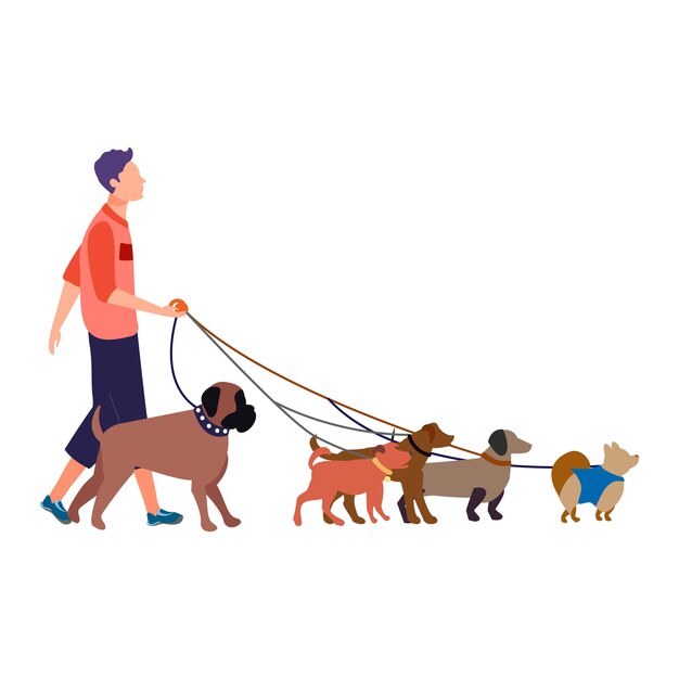 Вектор Молодой мужчина, выгуливающий собак четырех разных пород на поводке, случайный городской уход за домашними животными и работа с животными