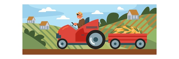 Young male driving tractor near corn fields carry trailer with harvested crops