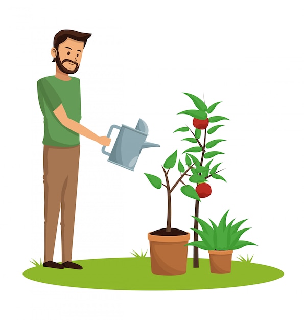 Young man with tomato harvest 