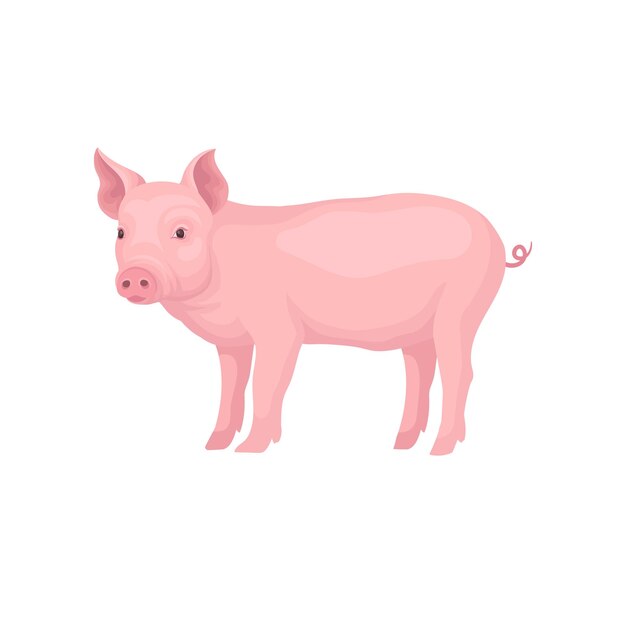 Vettore piccolo maiale in piedi isolato su uno sfondo bianco animale domestico maiale di fattoria rosa con coda vorticosa